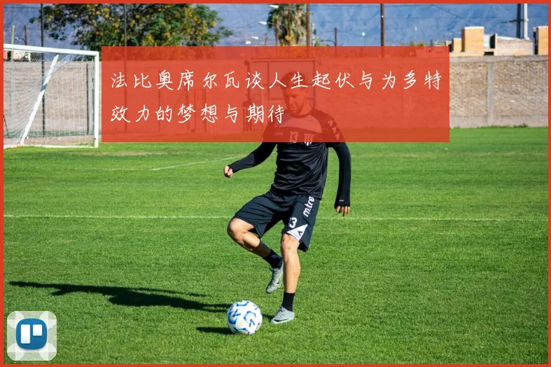 法比奥席尔瓦谈人生起伏与为多特效力的梦想与期待