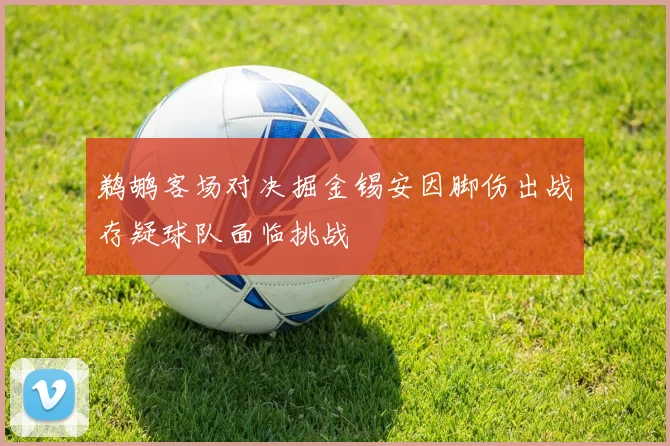 鹈鹕客场对决掘金锡安因脚伤出战存疑球队面临挑战